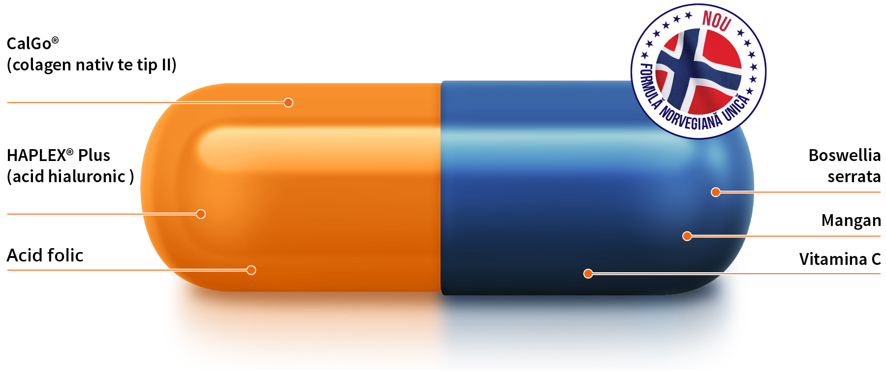  Movisan<sup>®</sup> Collagen II